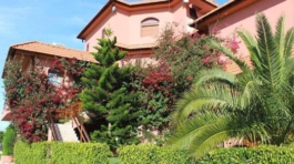 67178791_1262645657239972_1100658731936382976_n