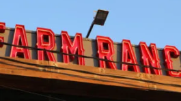 71391857_1318932988277905_3789542154561388544_n-1-300x300-1