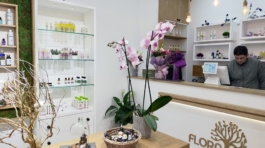 88985332_1468507033320499_6909530248052736000_n