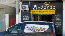 Eleganza-peinture-et-decoration