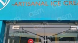 Frozen-Palm-Tozeur-300x300-1