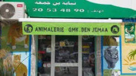 GMK.Ben-Jemaa-300x300-1