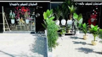 Magasin-Soltan-300x300-1