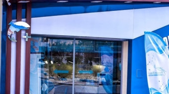Poisson-Bleu-Plus