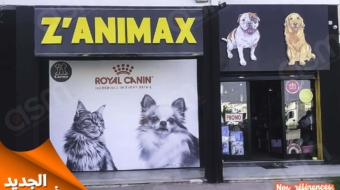 ZAnimax