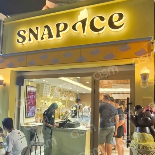 SNAPINCE